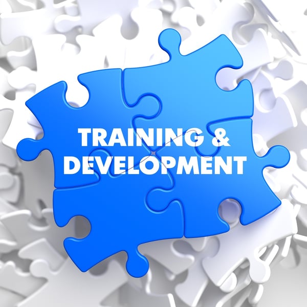 Training and Development Written on Blue Puzzle Pieces. Educational Concept.  3D Render..jpeg